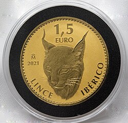 Lynx of gold