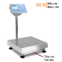 Cân điện tử DFWLI-TQ15